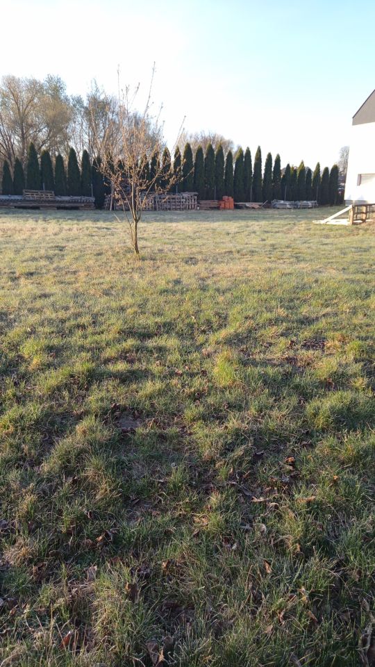 Działka budowlana Cegielnia, ul. Nowa. Zdjęcie 4