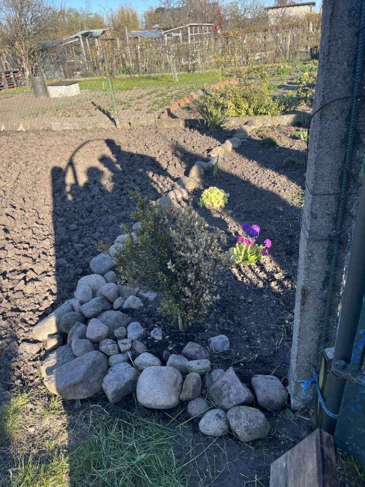 Działka rod Gdańsk Nowy Port. Zdjęcie 7