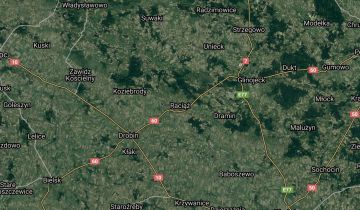 dom, 5 pokoi Raciąż