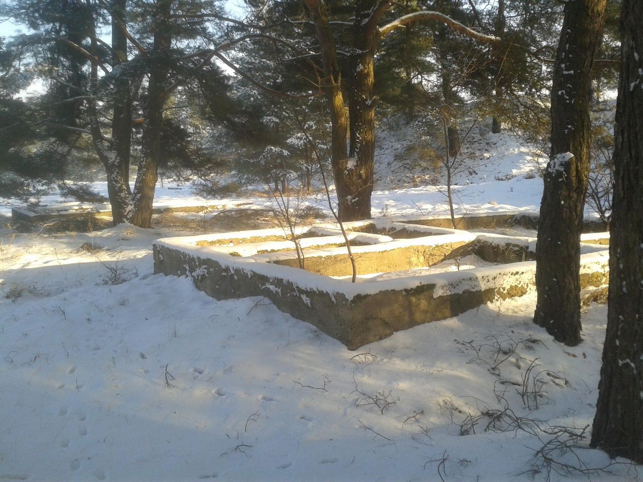 Działka rekreacyjna Martiany. Zdjęcie 13