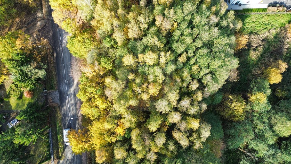 Działka budowlana Szczęsne. Zdjęcie 4