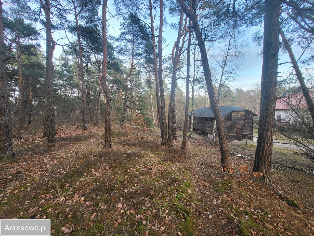 Działka budowlana Józefów, ul. Wiązowska. Zdjęcie 10