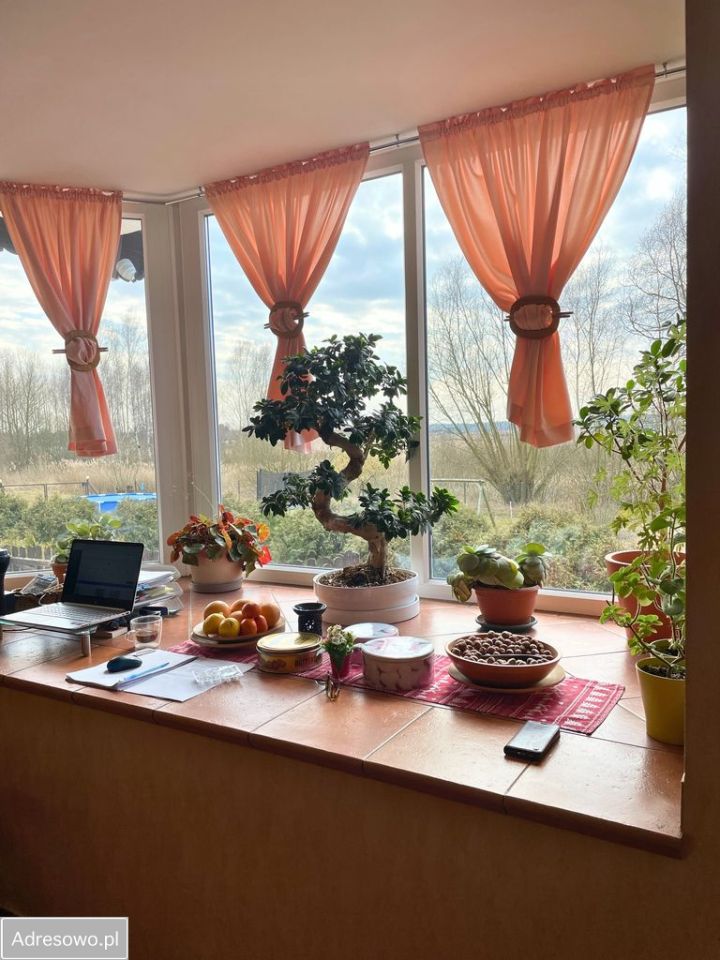 dom wolnostojący, 8 pokoi Brzozowiec, ul. Gajowa. Zdjęcie 4