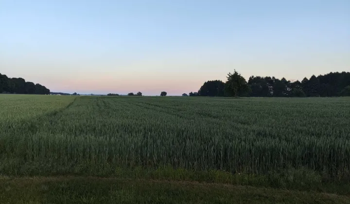 Działka budowlana Boguszynek