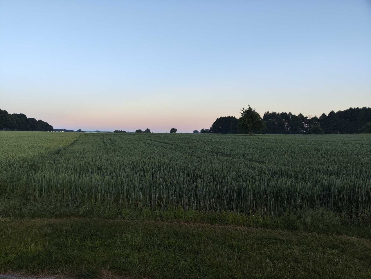 Działka budowlana Boguszynek. Zdjęcie 1
