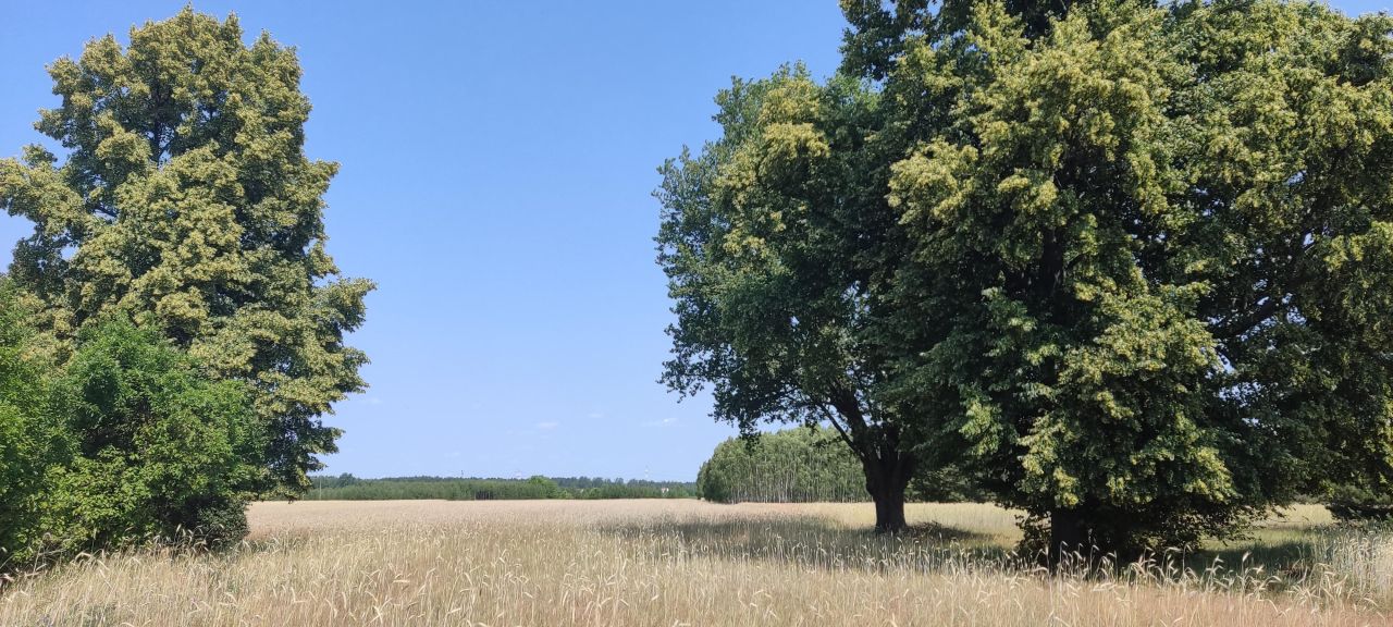 Działka rolno-budowlana Czernice