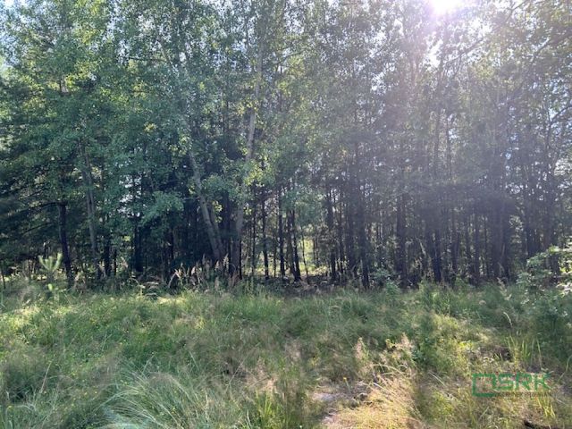 Działka inna Mysłowice Wesoła, ul. 11 Listopada. Zdjęcie 4