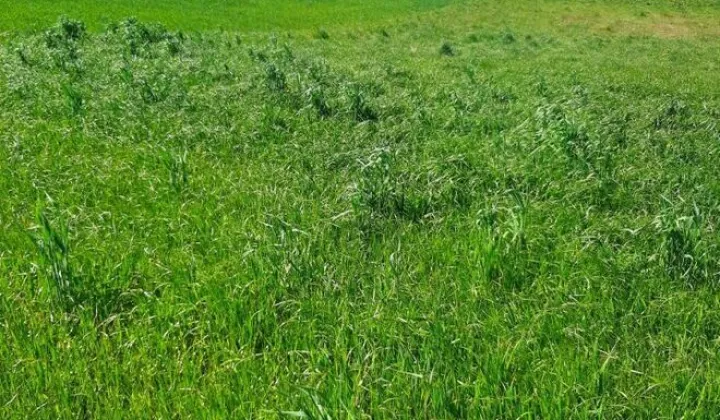 Działka budowlana Chwarzenko