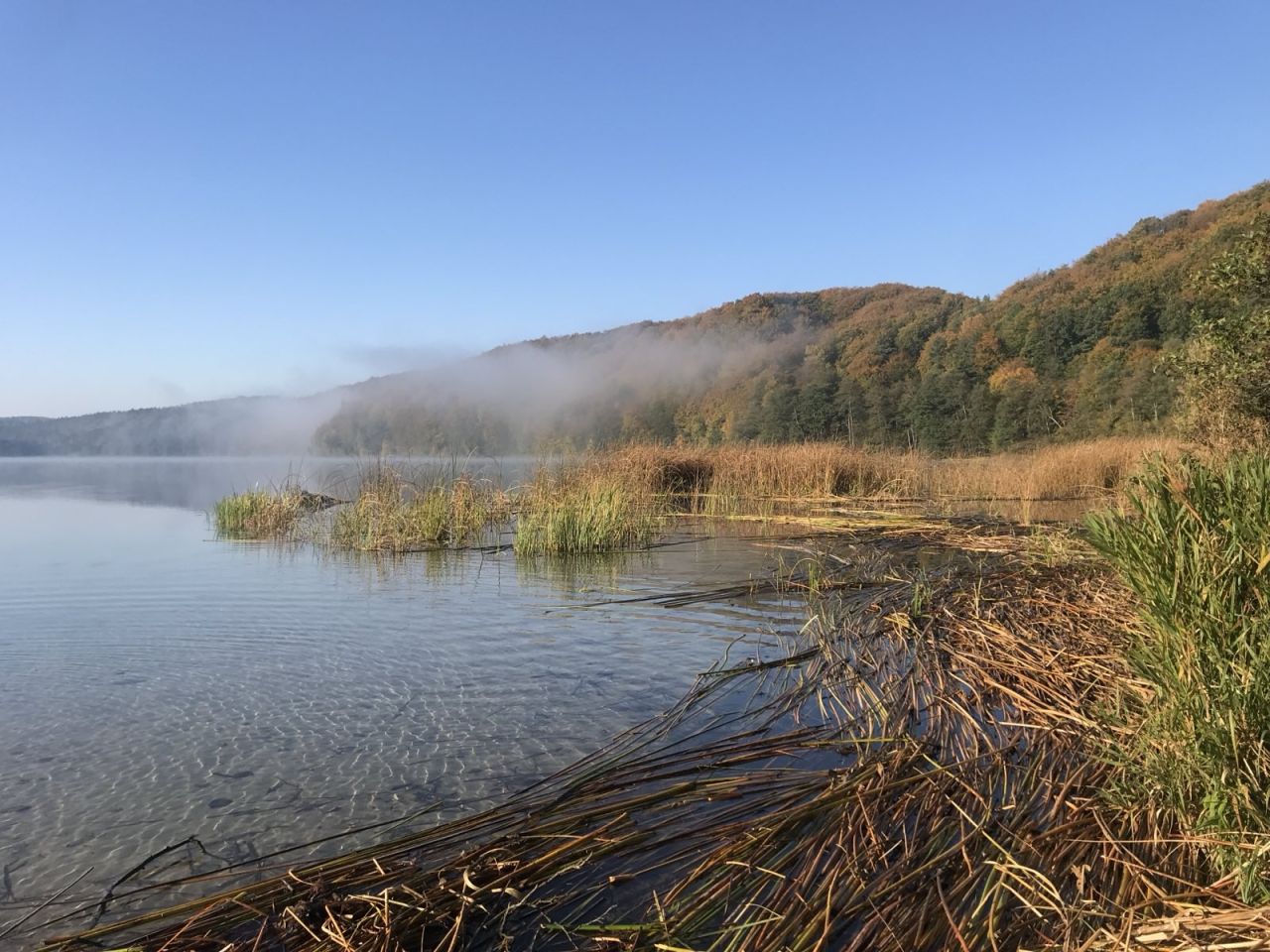 Działka budowlana Klonowo Dolne, ul. Głęboka. Zdjęcie 4