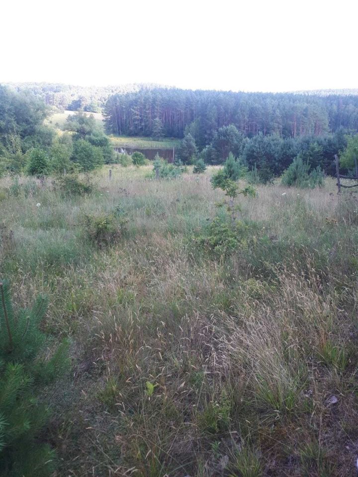 dom Łęczyn. Zdjęcie 6