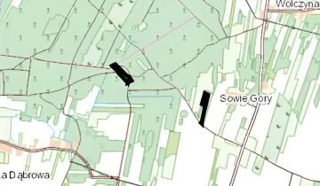 Działka leśna Goryń