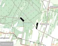 Działka leśna Goryń. Zdjęcie 1