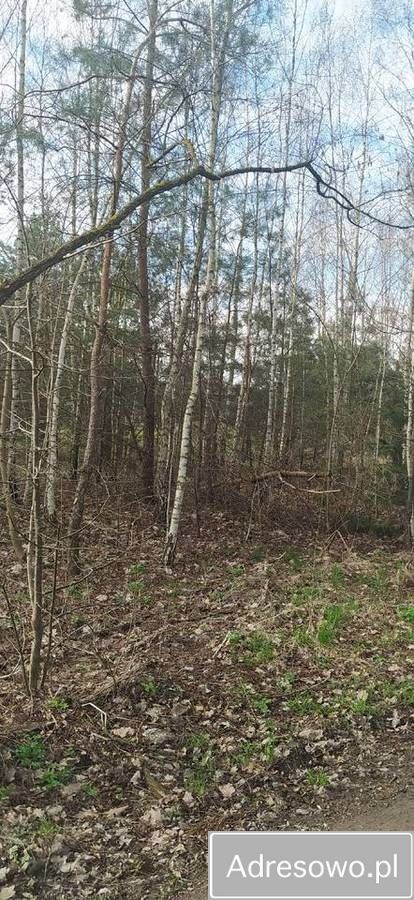 Działka budowlana Stary Sławacinek. Zdjęcie 2