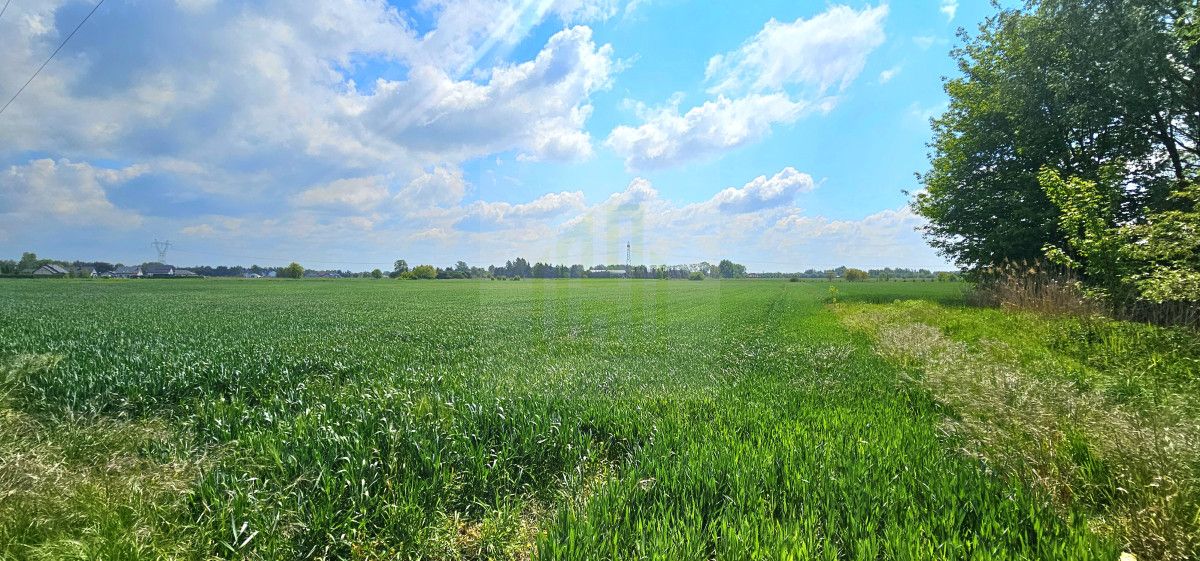 Działka budowlana Bieniewice, ul. Słowicza. Zdjęcie 11