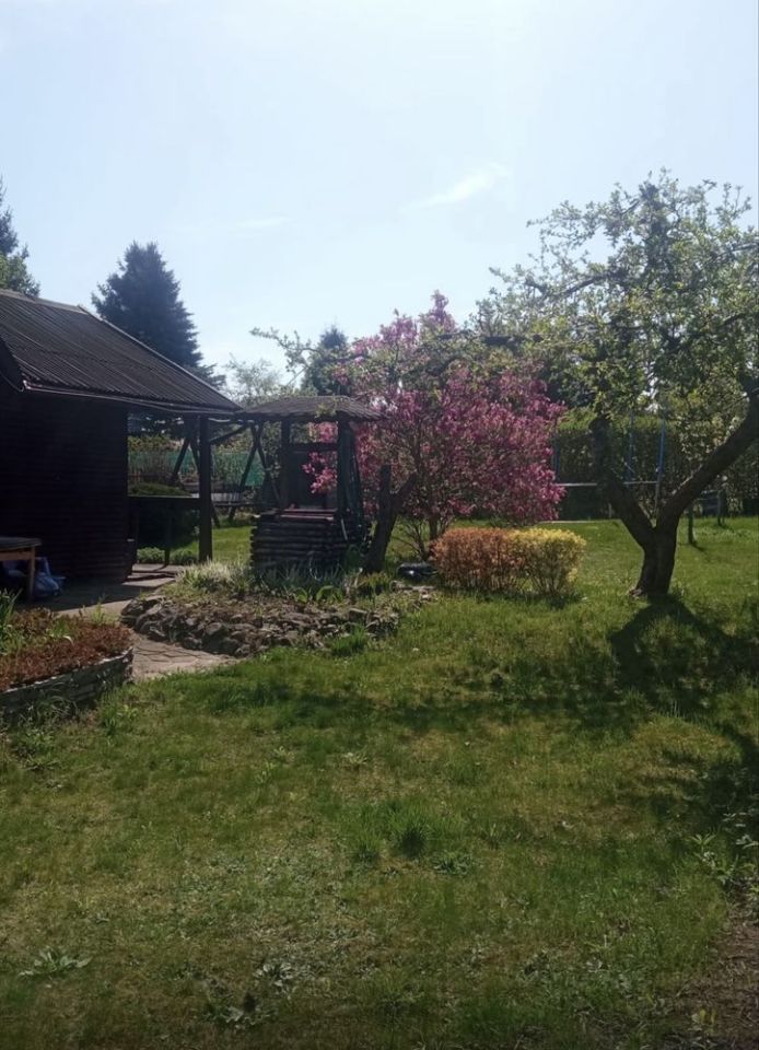 Działka rod Wadąg. Zdjęcie 3