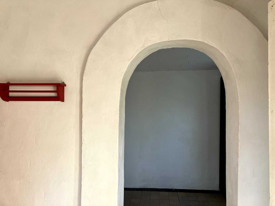 Działka rod Warszawa Wawer, ul. Skalnicowa. Zdjęcie 3