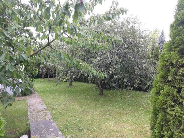 Działka rekreacyjna Szczecin, ul. Piaskowa. Zdjęcie 1