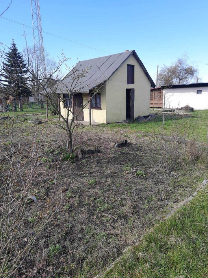 Działka rod Strzelce Opolskie. Zdjęcie 3