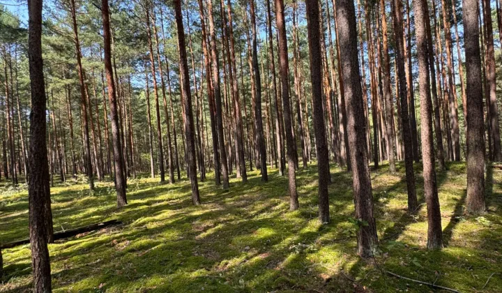 Działka rekreacyjna Zakrzówek Szlachecki