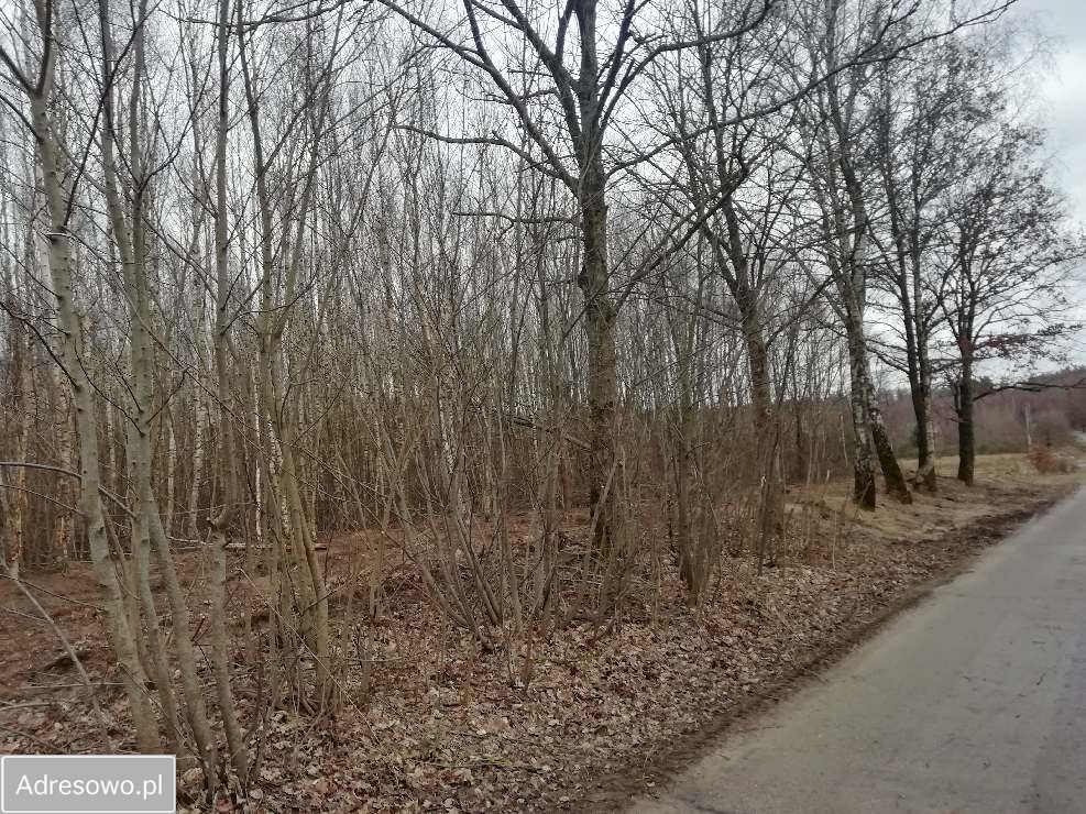 Działka budowlana Zagórzyca. Zdjęcie 7