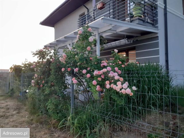 Mieszkanie 3-pokojowe Wilczyce, ul. Polna. Zdjęcie 1