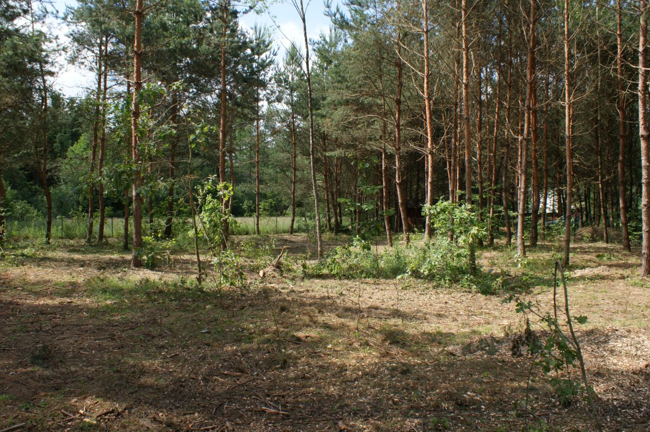 Działka rekreacyjna Czerwona Wola Myszkówka. Zdjęcie 29