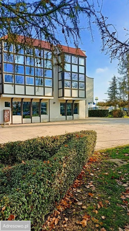 Lokal Lubin Centrum, ul. Ignacego Paderewskiego. Zdjęcie 5