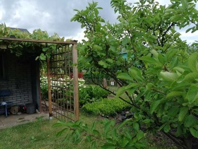 Działka rod Warszawa Zacisze, ul. Krzesiwa. Zdjęcie 1