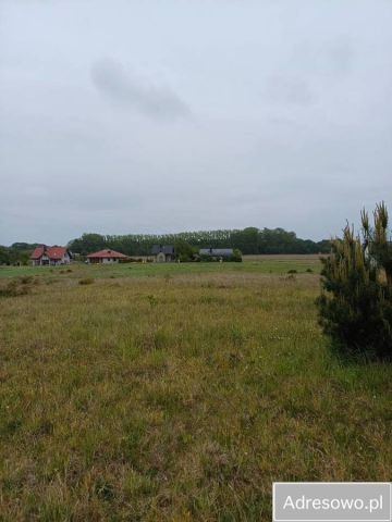 Działka inwestycyjna Kikorze. Zdjęcie 1