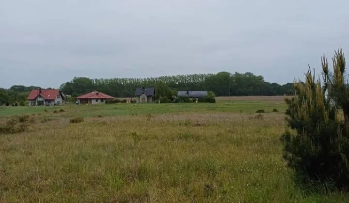 Działka inwestycyjna Kikorze