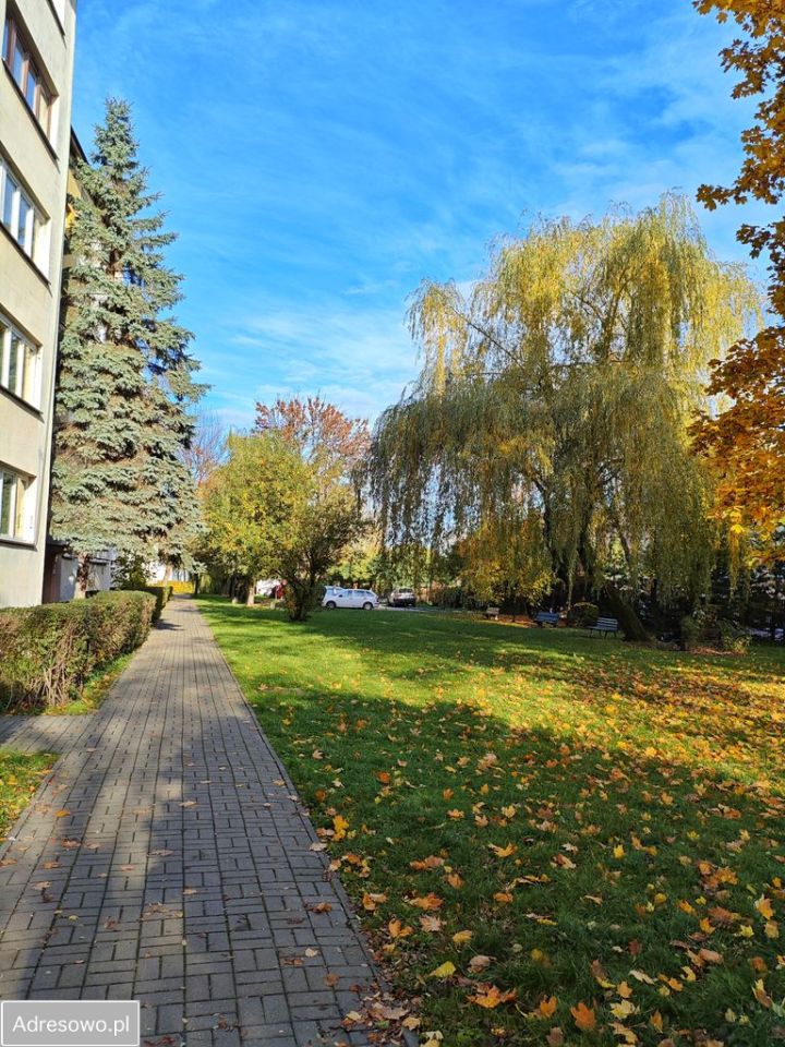 Mieszkanie 3-pokojowe Mysłowice, ul. Wielka Skotnica. Zdjęcie 19