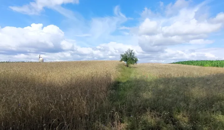 Działka inna Licheń Stary, Bez nazwy
