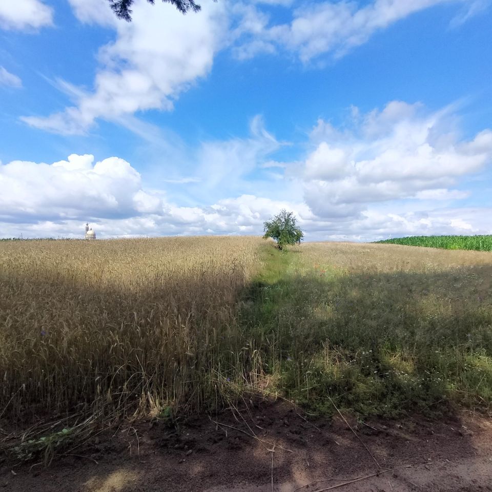Działka inna Licheń Stary, Bez nazwy. Zdjęcie 1