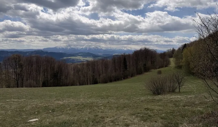 Działka rekreacyjna Grywałd