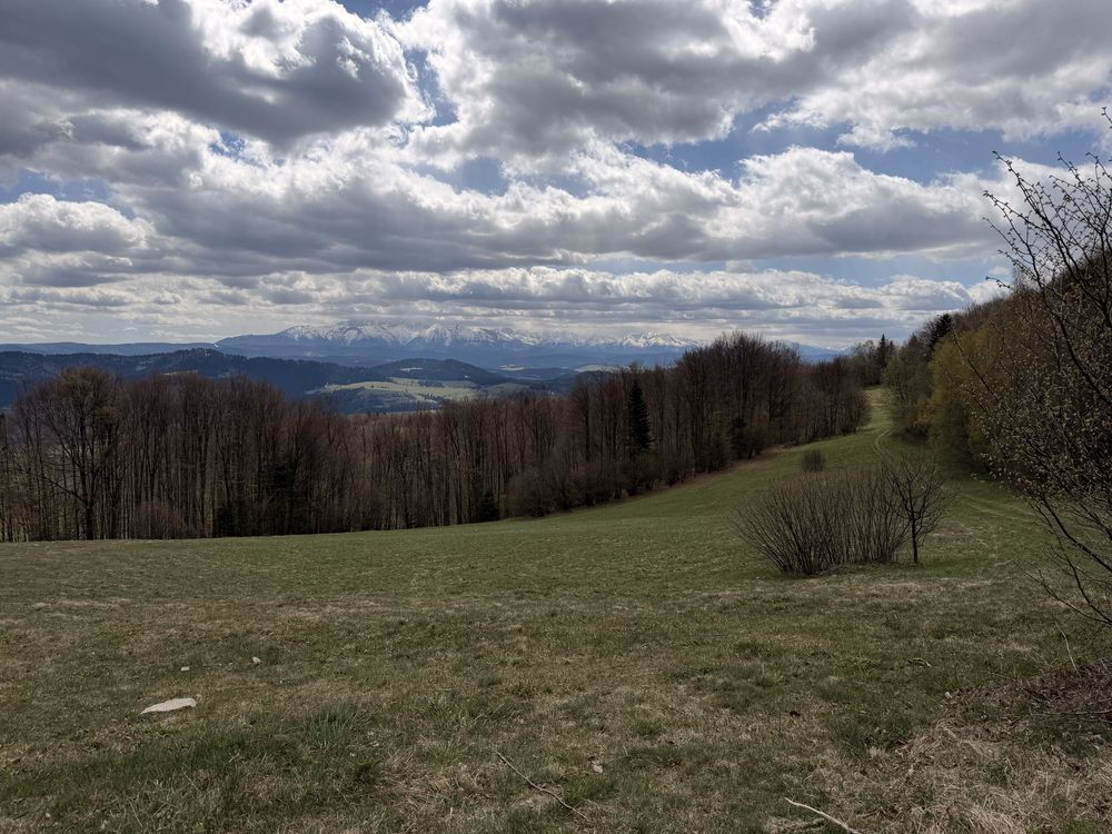 Działka rekreacyjna Grywałd. Zdjęcie 1