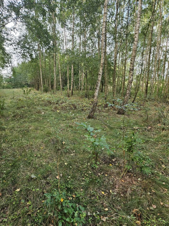 Działka budowlana Zaborów Stary. Zdjęcie 4