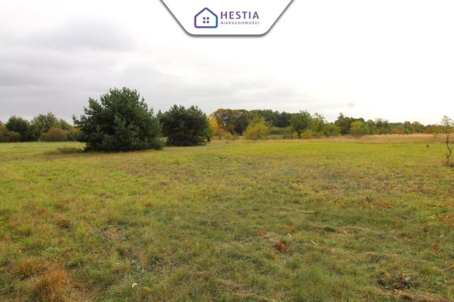 Działka rolna Jęczydół. Zdjęcie 2
