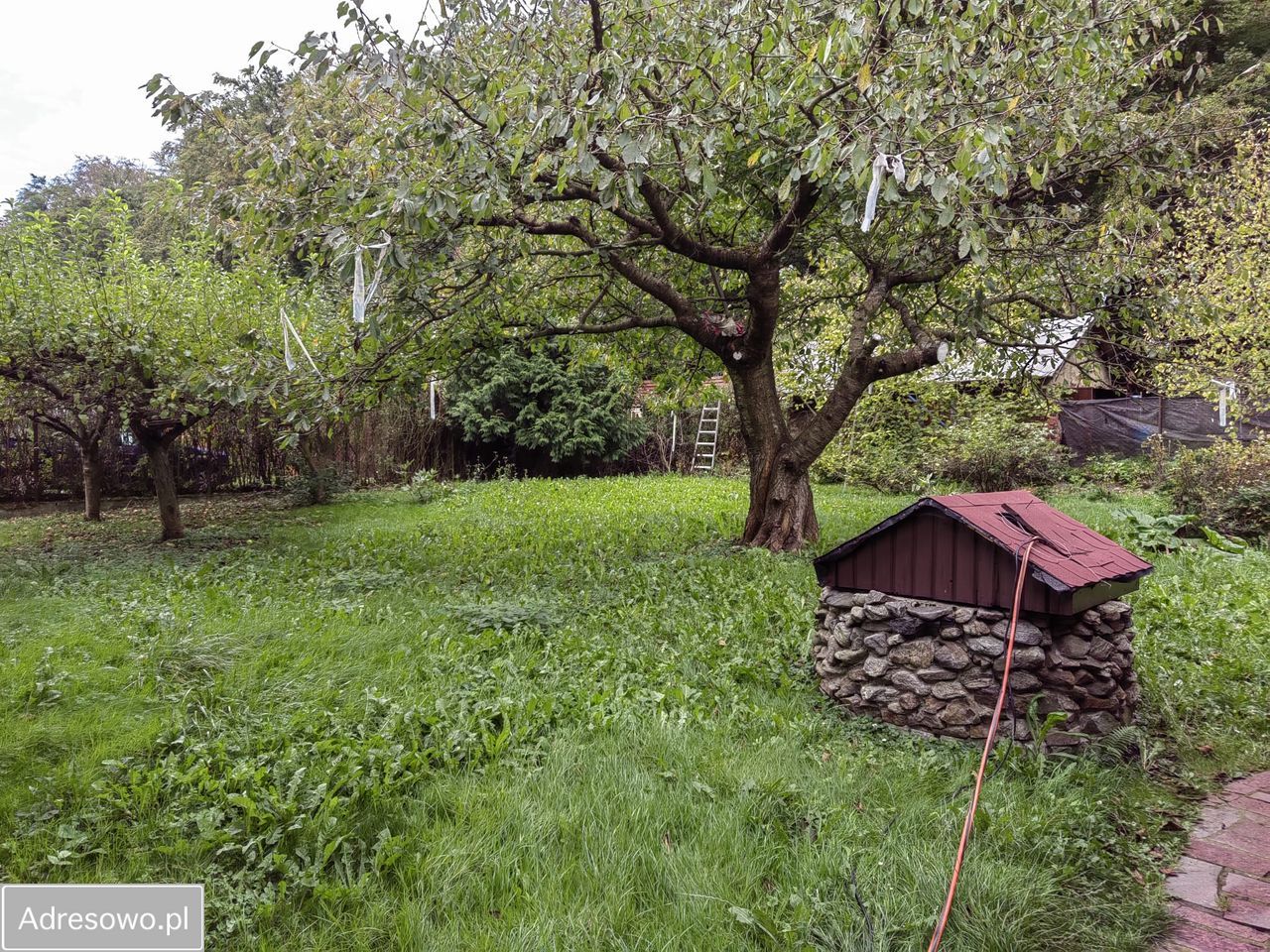 dom wolnostojący, 5 pokoi Bielawa. Zdjęcie 16