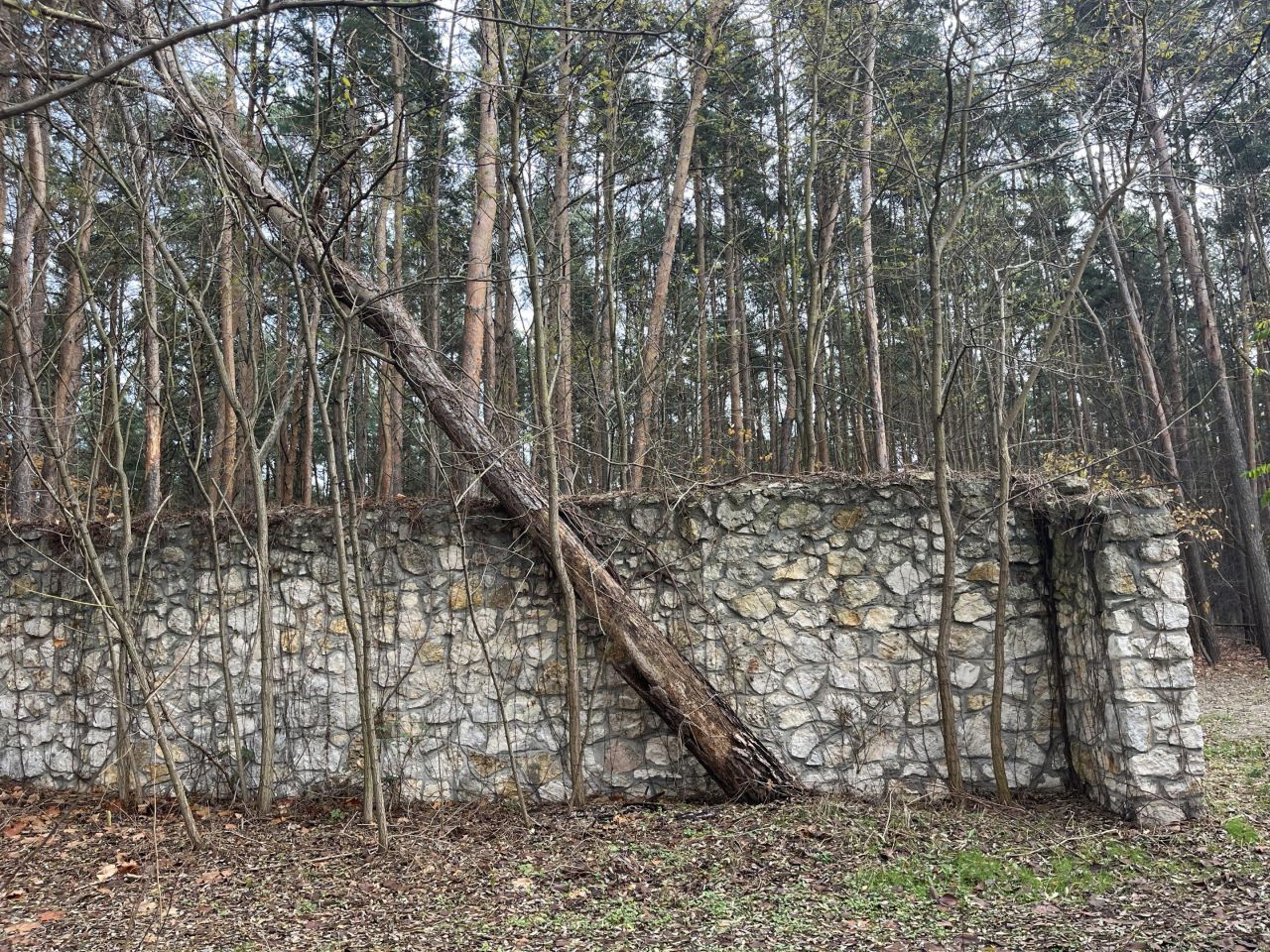 Działka rekreacyjna Osjaków, ul. Wesołe Kąty. Zdjęcie 4