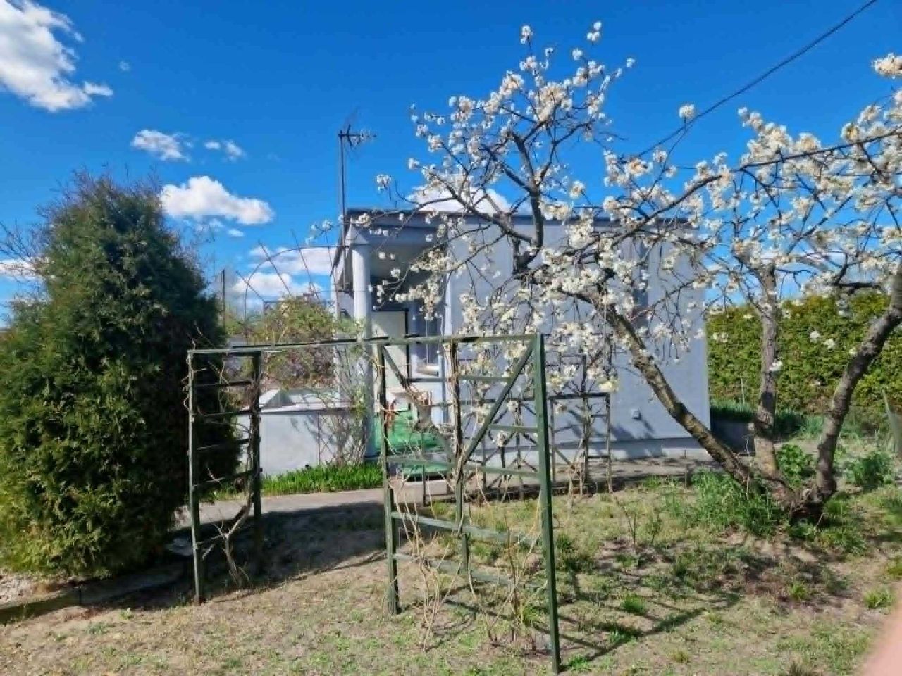 Działka rod Bydgoszcz Szwederowo. Zdjęcie 4