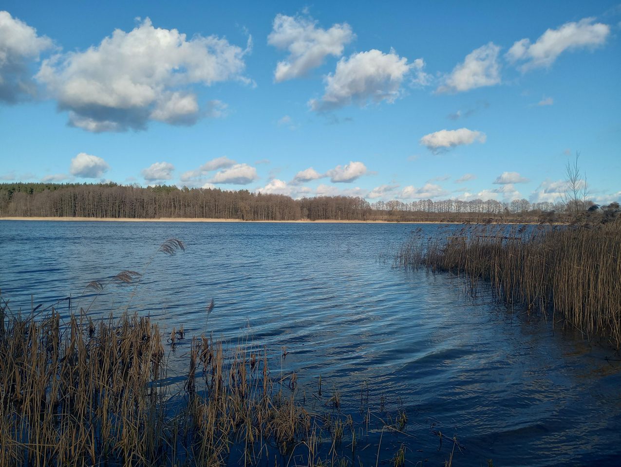 Działka rekreacyjna Grądy. Zdjęcie 2