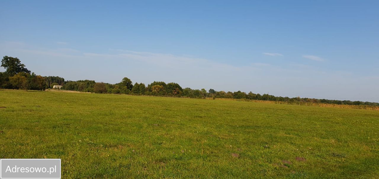 Działka rolna Olszowiec. Zdjęcie 10