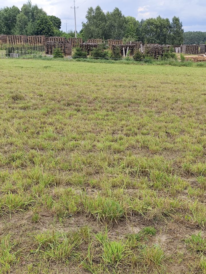 Działka siedliskowa Kęsza. Zdjęcie 8