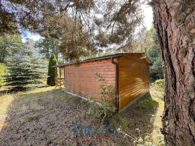 Działka budowlana Zwola Poduchowna. Zdjęcie 6