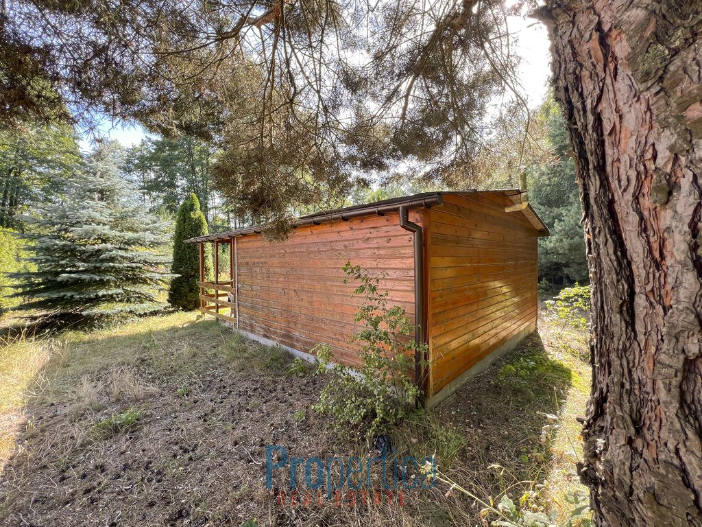 Działka budowlana Zwola Poduchowna. Zdjęcie 6