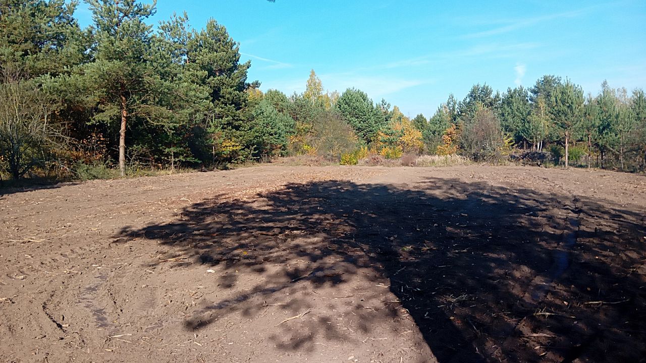 Działka budowlana Słubica Dobra, ul. Graniczna. Zdjęcie 6