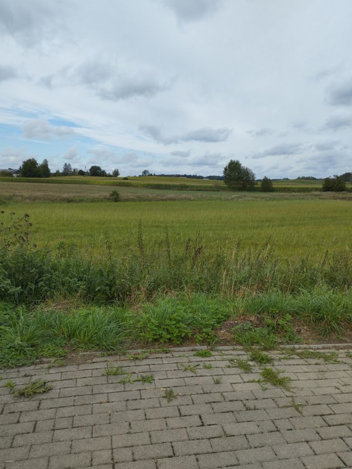 Działka rolno-budowlana Krupin. Zdjęcie 10