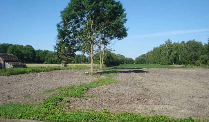 Działka siedliskowa Pachole