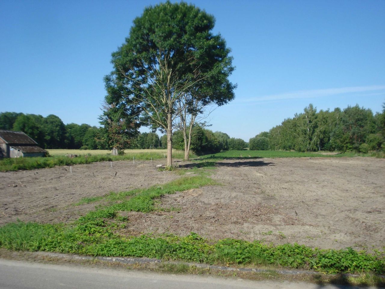 Działka siedliskowa Pachole. Zdjęcie 1