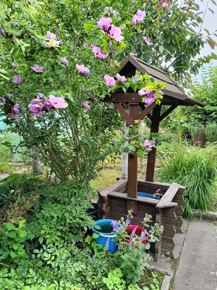 Działka rod Elbląg, ul. Działkowa. Zdjęcie 2